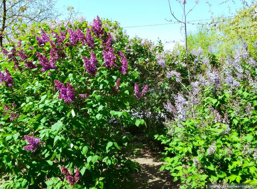 Тайны весеннего сада — Куклы Helen Kish (Хелен Киш): Riley (Райли)