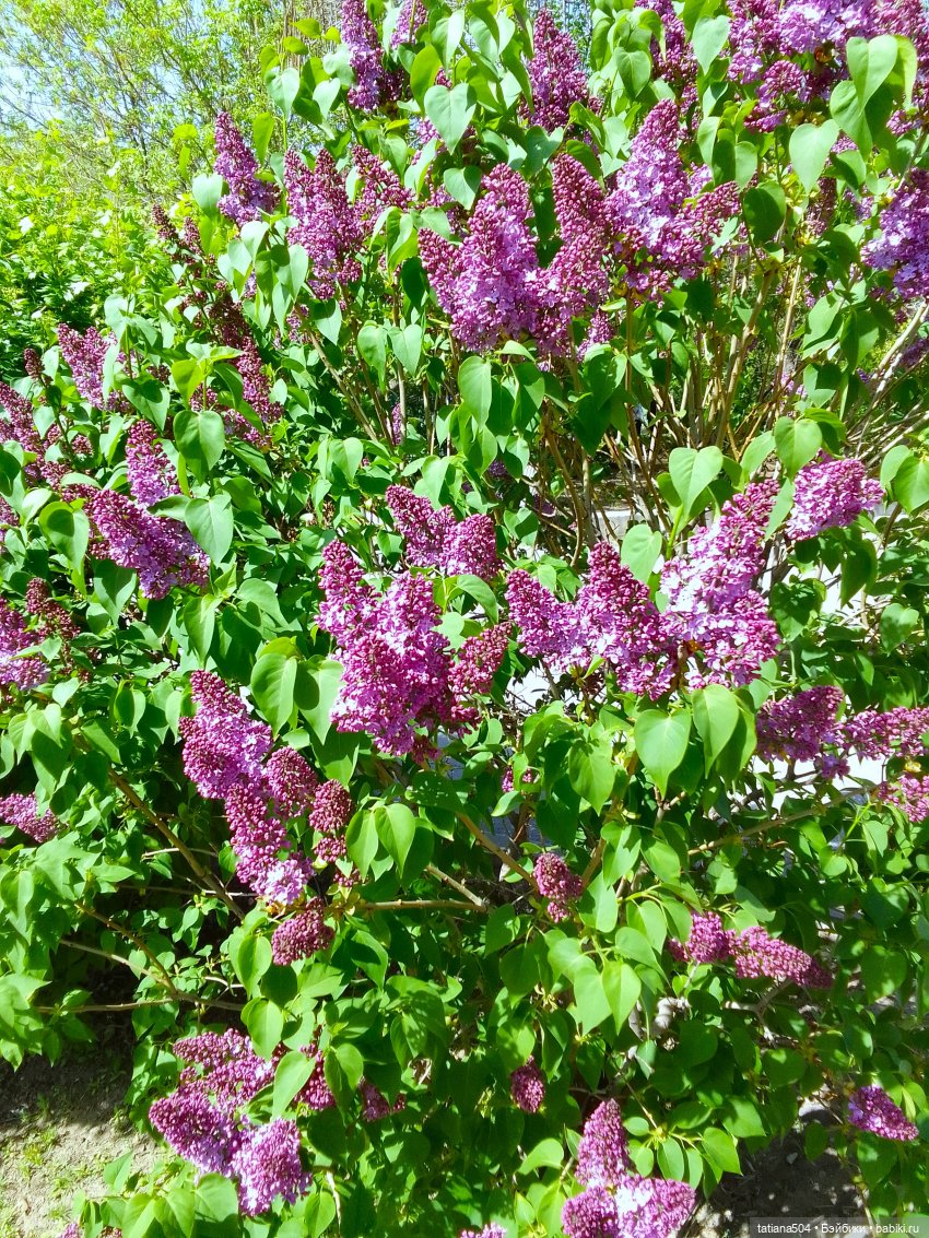 Тайны весеннего сада — Куклы Helen Kish (Хелен Киш): Riley (Райли)