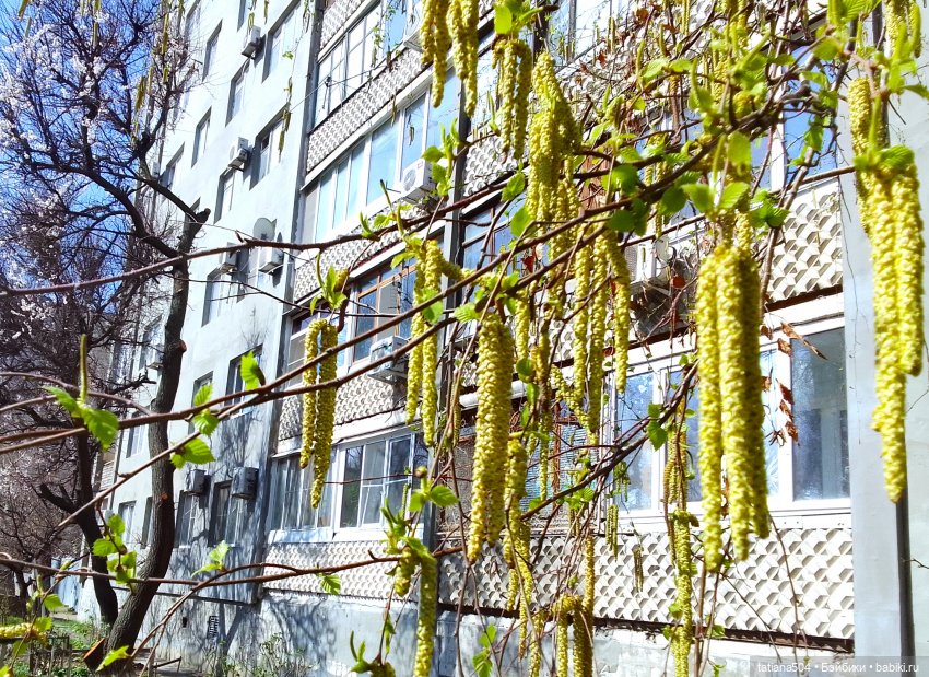 Тайны весеннего сада — Куклы Helen Kish (Хелен Киш): Riley (Райли)