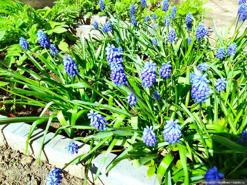 Тайны весеннего сада — Куклы Helen Kish (Хелен Киш): Riley (Райли)