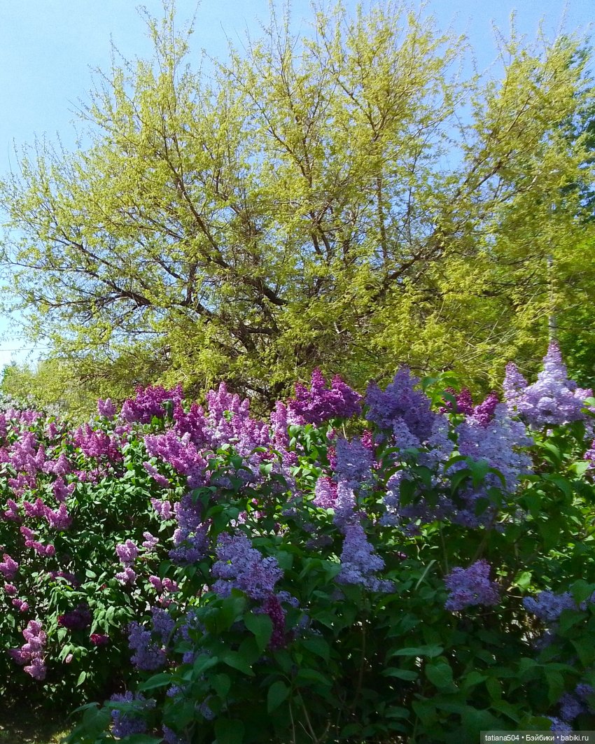 Тайны весеннего сада — Куклы Helen Kish (Хелен Киш): Riley (Райли)