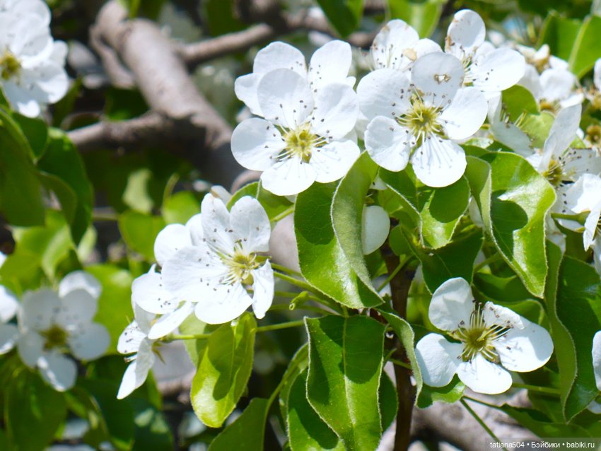 Весенние зарисовки или где гуляла Тула
