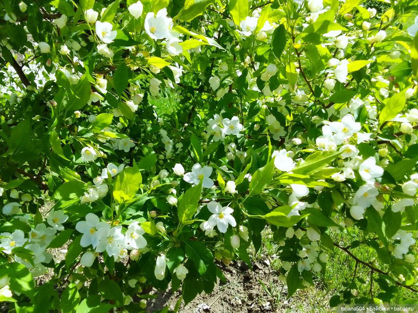 Весенние зарисовки или где гуляла Тула