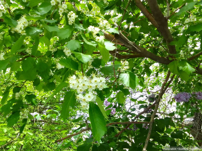 Весенние зарисовки или где гуляла Тула