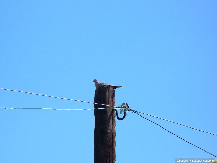 Весенние зарисовки или где гуляла Тула