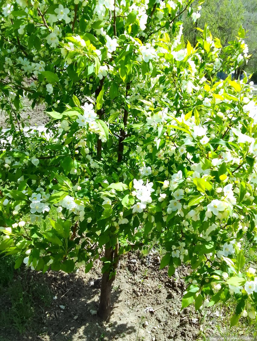 Весенние зарисовки или где гуляла Тула