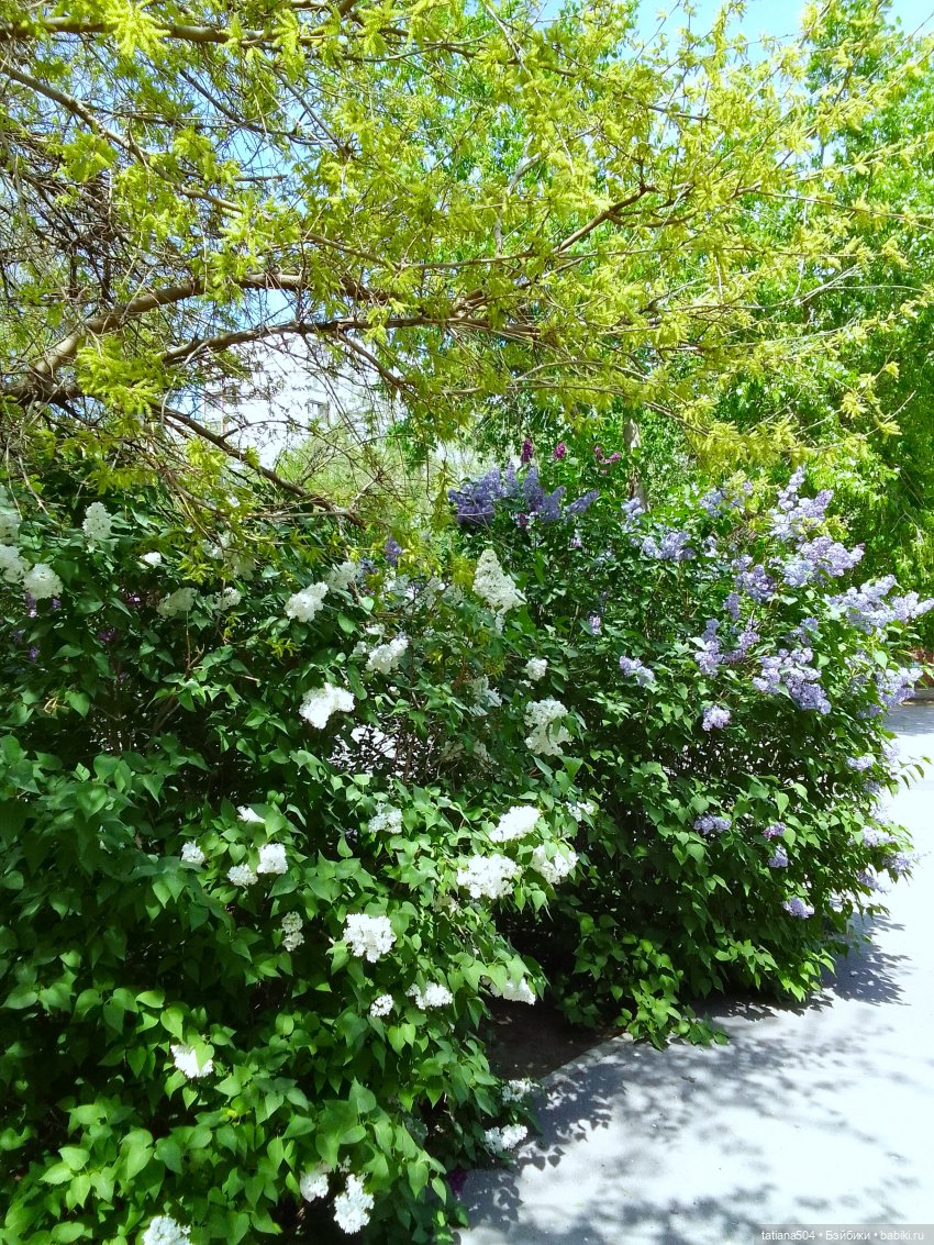 Весенние зарисовки или где гуляла Тула