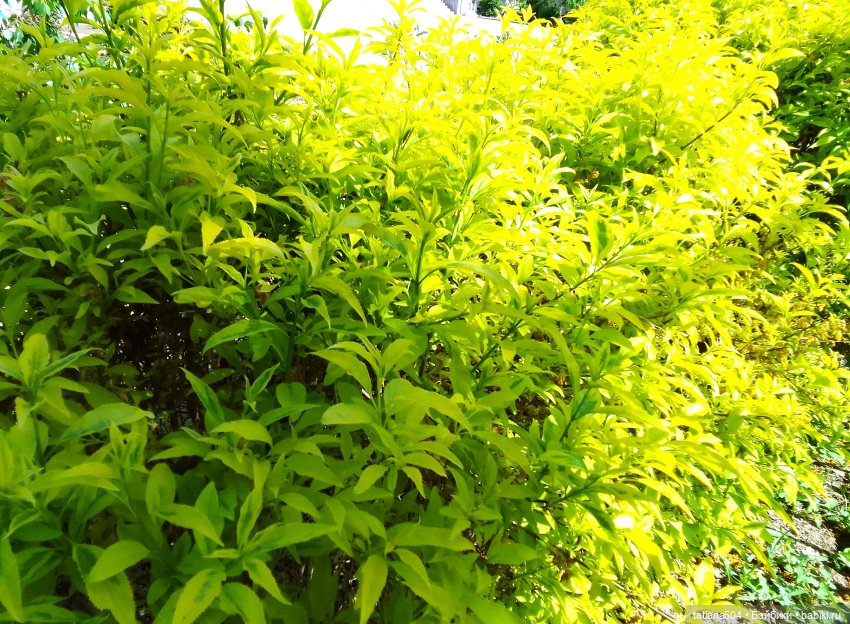 Весенние зарисовки или где гуляла Тула