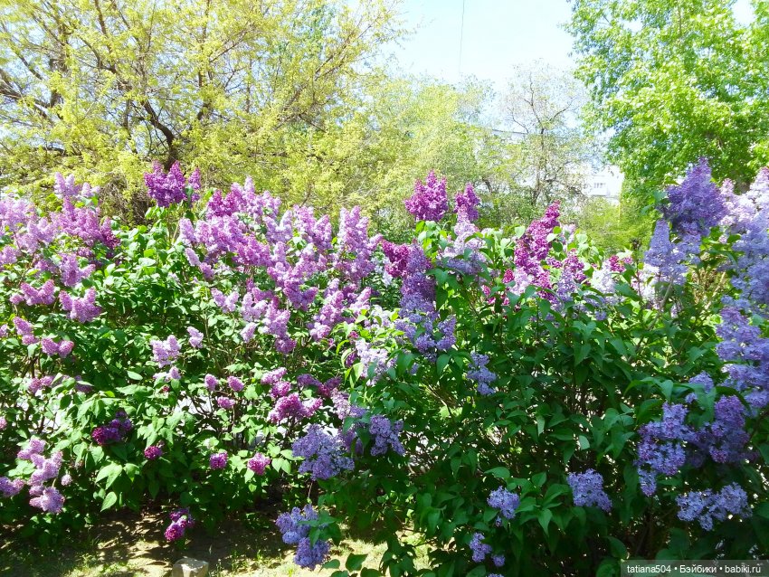 Поля, Полюшка, Поляна — Куклы Heidi Ott (Хайди Отт): Швейцария