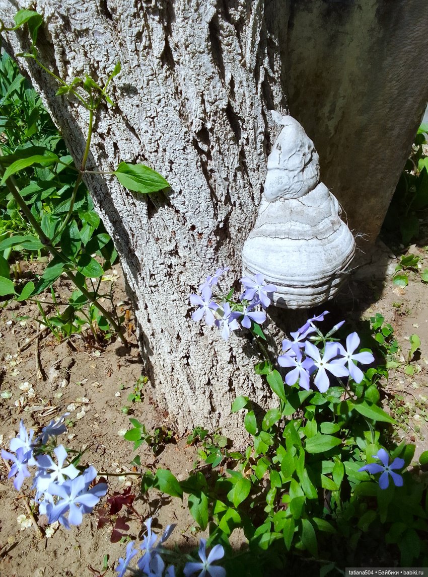 Поля, Полюшка, Поляна — Куклы Heidi Ott (Хайди Отт): Швейцария