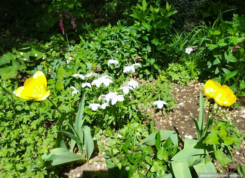 Поля, Полюшка, Поляна — Куклы Heidi Ott (Хайди Отт): Швейцария