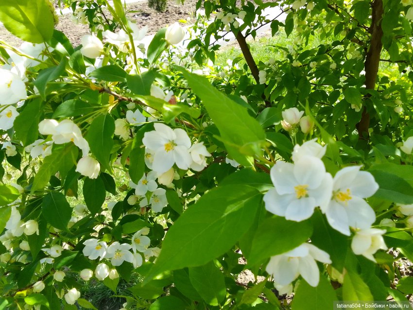 Поля, Полюшка, Поляна — Куклы Heidi Ott (Хайди Отт): Швейцария