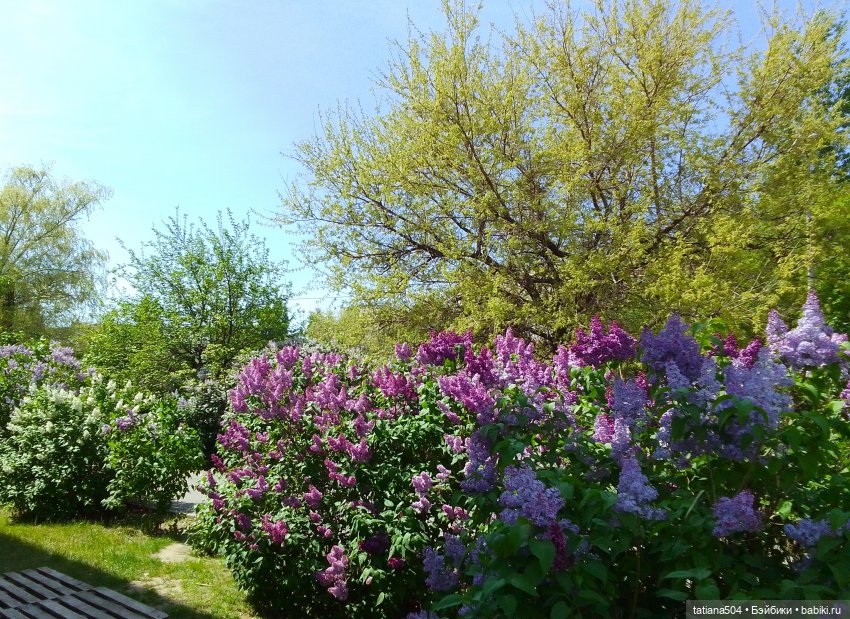 Поля, Полюшка, Поляна — Куклы Heidi Ott (Хайди Отт): Швейцария