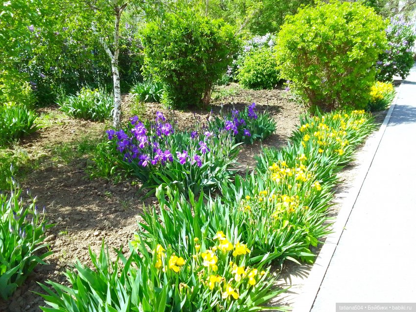 Поля, Полюшка, Поляна — Куклы Heidi Ott (Хайди Отт): Швейцария