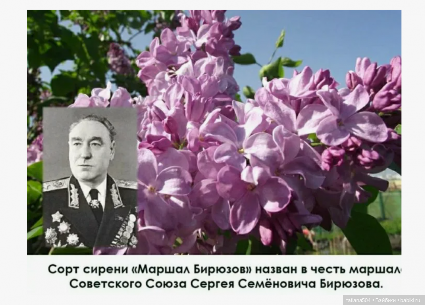 Сирень в победном мае — Куклы Heidi Ott (Хайди Отт): Швейцария (фото 10)