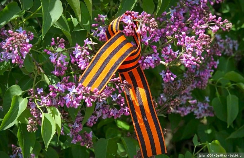 Сирень в победном мае — Куклы Heidi Ott (Хайди Отт): Швейцария