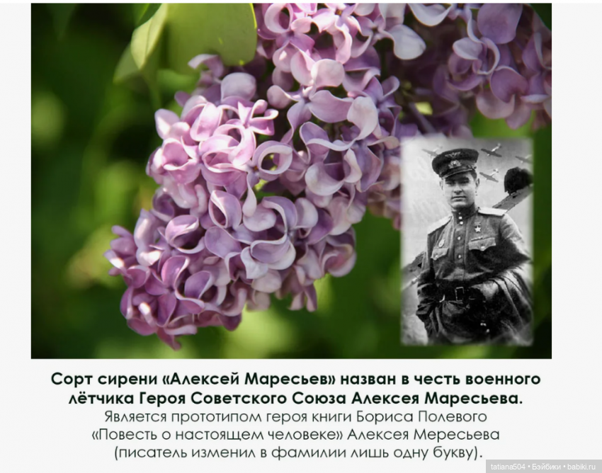 Сирень в победном мае — Куклы Heidi Ott (Хайди Отт): Швейцария