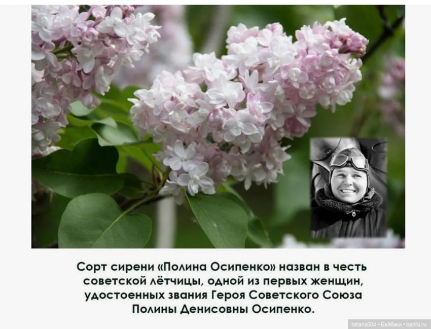 Сирень в победном мае — Куклы Heidi Ott (Хайди Отт): Швейцария