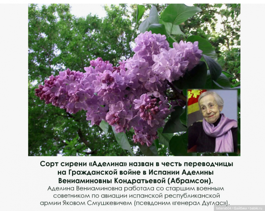 Сирень в победном мае — Куклы Heidi Ott (Хайди Отт): Швейцария