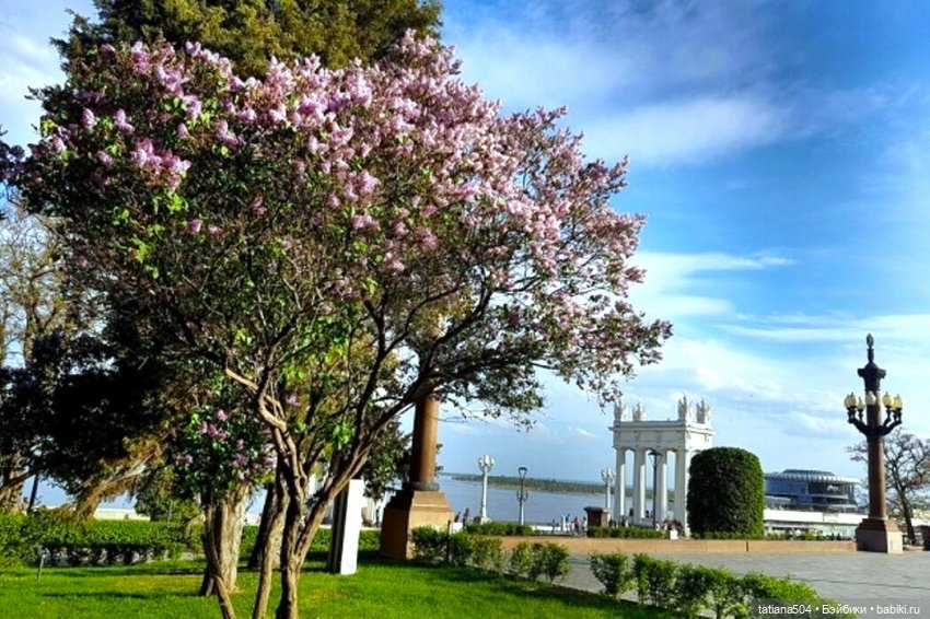 Сирень в победном мае — Куклы Heidi Ott (Хайди Отт): Швейцария (фото 6)