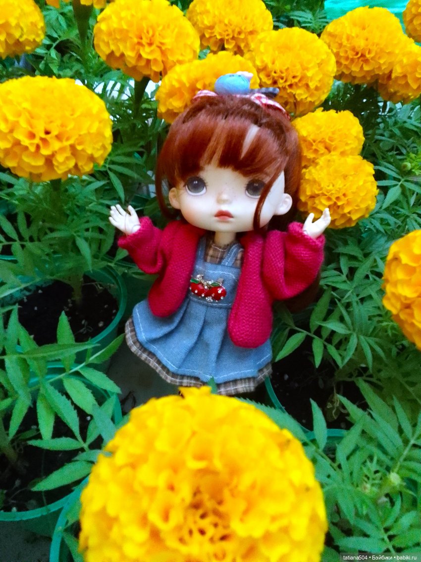 Ласковый май, часть 1 — Куклы Xiaomi Monst (Сяоми) и Pipitom: шарнирные