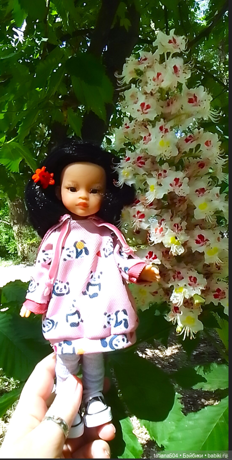 Каштаны-великаны и крошка Мария Хосе