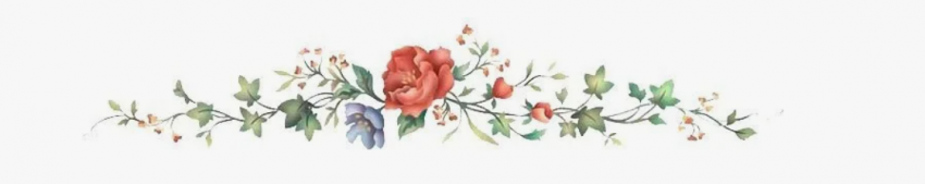 Каштаны-великаны и крошка Мария Хосе