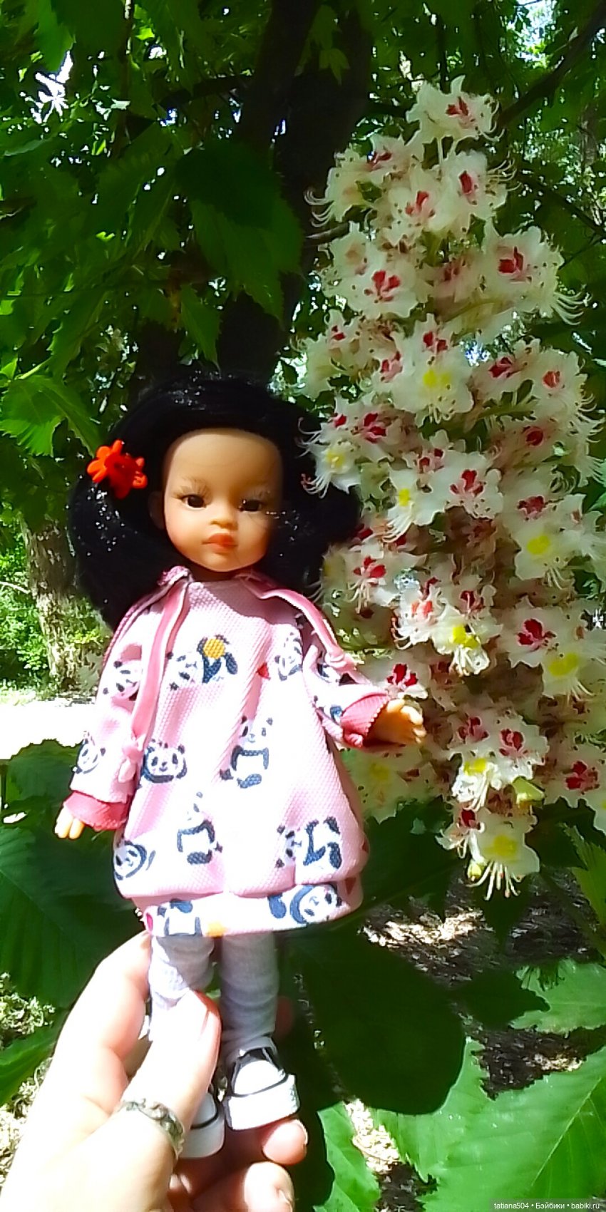 Каштаны-великаны и крошка Мария Хосе