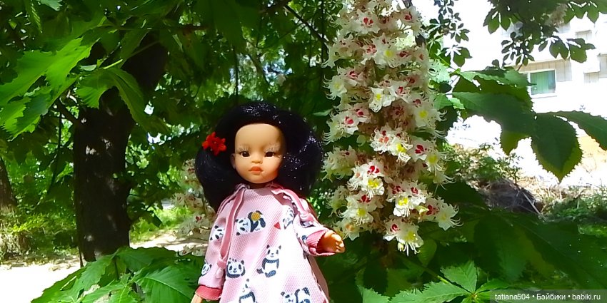 Каштаны-великаны и крошка Мария Хосе