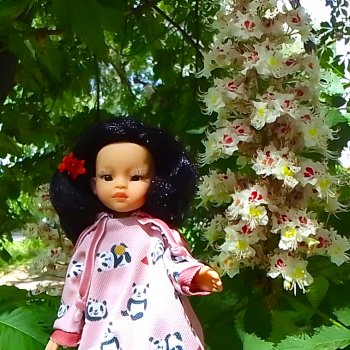 Каштаны-великаны и крошка Мария Хосе