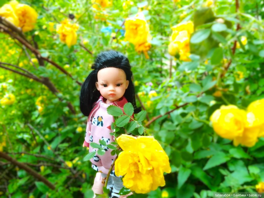 Каштаны-великаны и крошка Мария Хосе