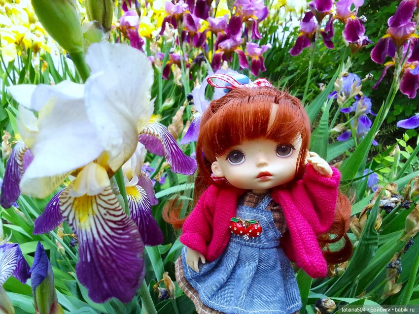 Белла в саду разноцветных Ирисов, часть 2 (фото 10)
