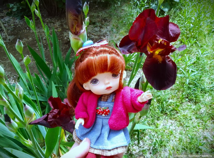 Белла в саду разноцветных Ирисов, часть 2