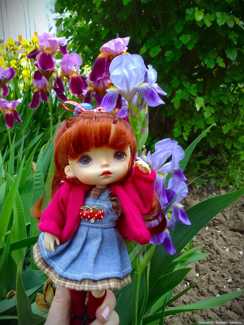 Белла в саду разноцветных Ирисов, часть 2