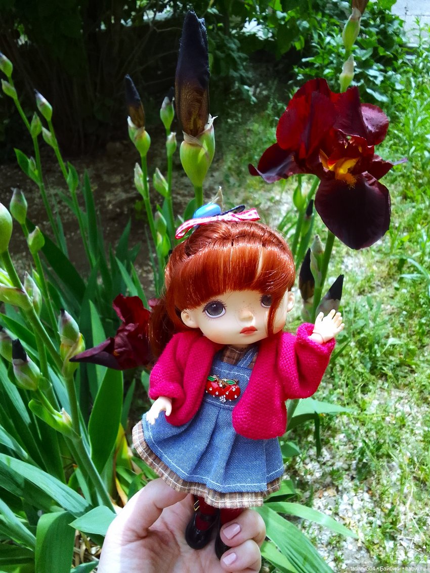 Белла в саду разноцветных Ирисов, часть 2