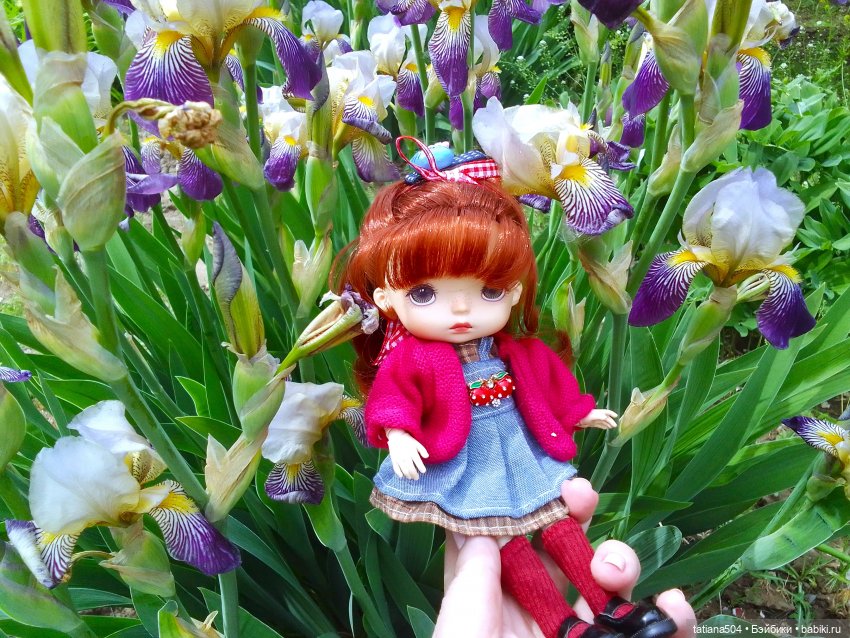 Белла в саду разноцветных Ирисов, часть 2