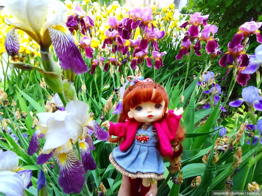 Белла в саду разноцветных Ирисов, часть 2