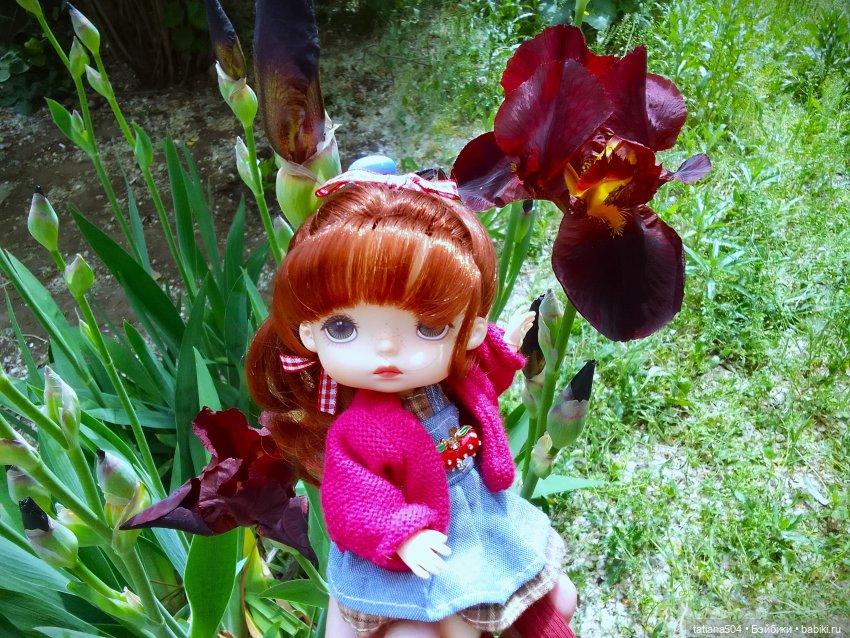 Белла в саду разноцветных Ирисов, часть 2