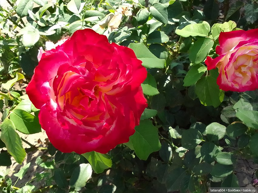 Первая прогулка Натали — Туризм и путешествия: фотоотчеты из поездок