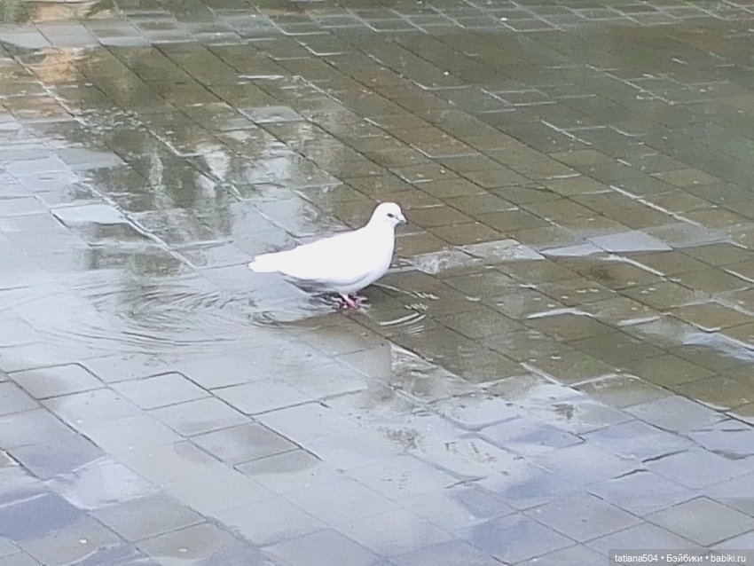 Первая прогулка Натали — Туризм и путешествия: фотоотчеты из поездок