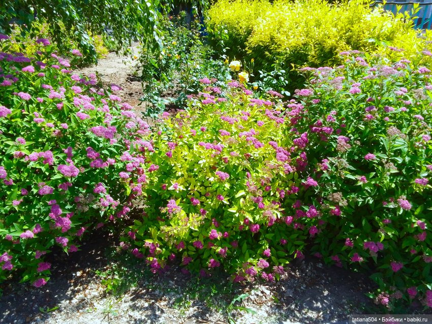 Первая прогулка Натали — Туризм и путешествия: фотоотчеты из поездок