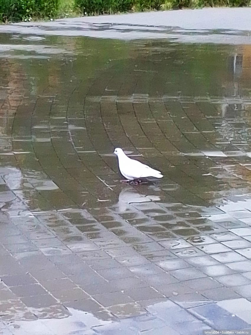 Первая прогулка Натали — Туризм и путешествия: фотоотчеты из поездок