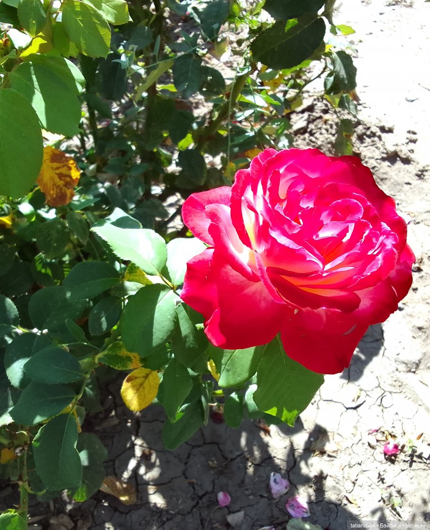 Первая прогулка Натали — Туризм и путешествия: фотоотчеты из поездок