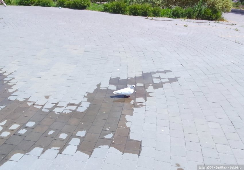 Первая прогулка Натали — Туризм и путешествия: фотоотчеты из поездок