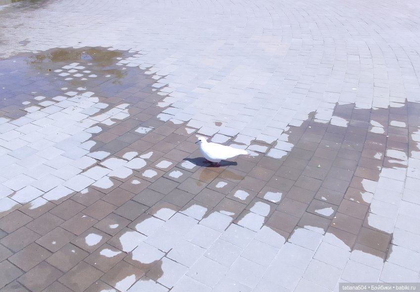 Первая прогулка Натали — Туризм и путешествия: фотоотчеты из поездок