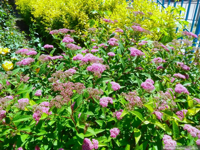 Первая прогулка Натали — Туризм и путешествия: фотоотчеты из поездок