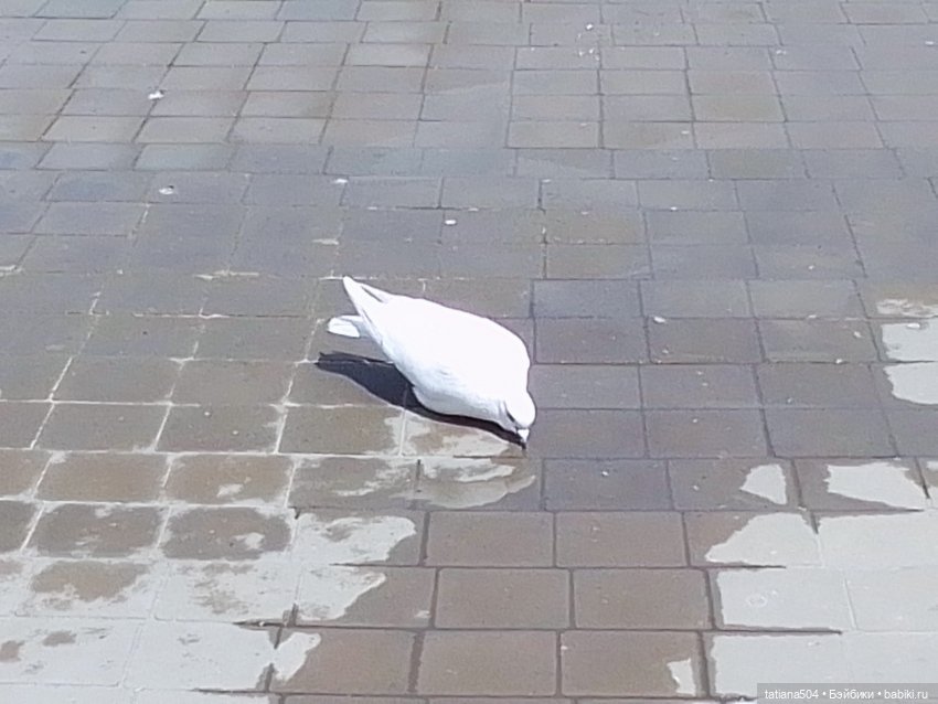 Первая прогулка Натали — Туризм и путешествия: фотоотчеты из поездок