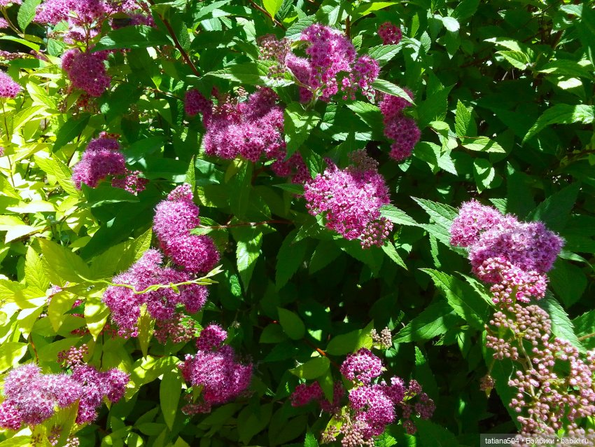 Первая прогулка Натали — Туризм и путешествия: фотоотчеты из поездок