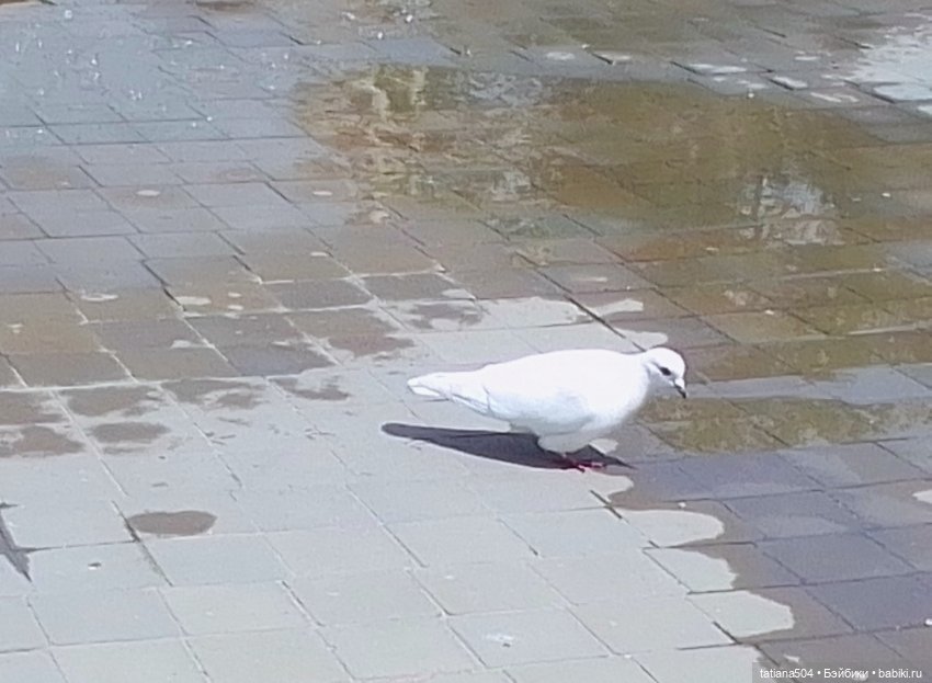 Первая прогулка Натали — Туризм и путешествия: фотоотчеты из поездок