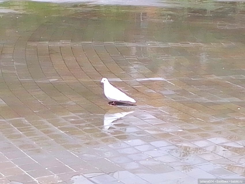 Первая прогулка Натали — Туризм и путешествия: фотоотчеты из поездок